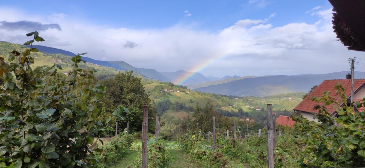 Brvnara Na Bregu Villa Bajina Basta Kültér fotó