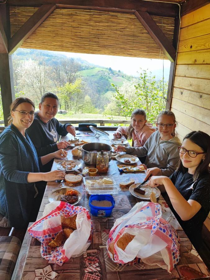 Brvnara Na Bregu Villa Bajina Basta Kültér fotó
