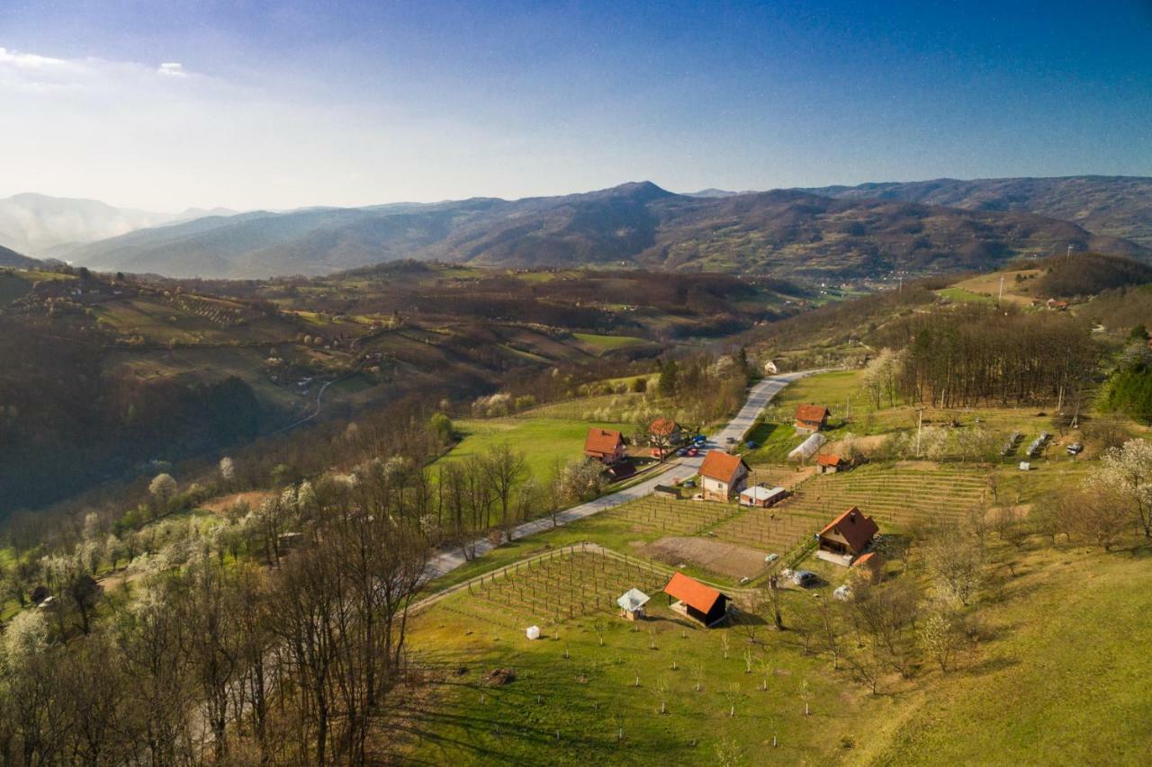 Brvnara Na Bregu Villa Bajina Basta Kültér fotó