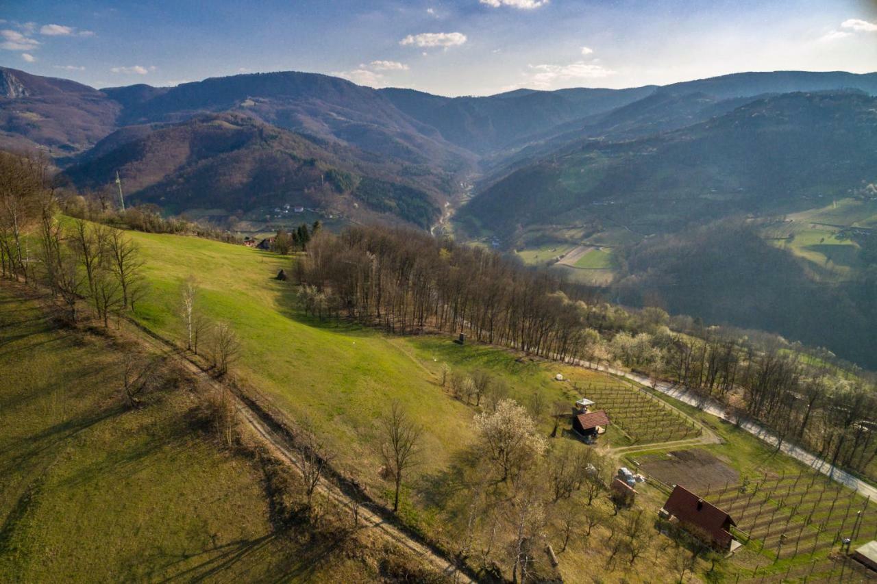 Brvnara Na Bregu Villa Bajina Basta Kültér fotó