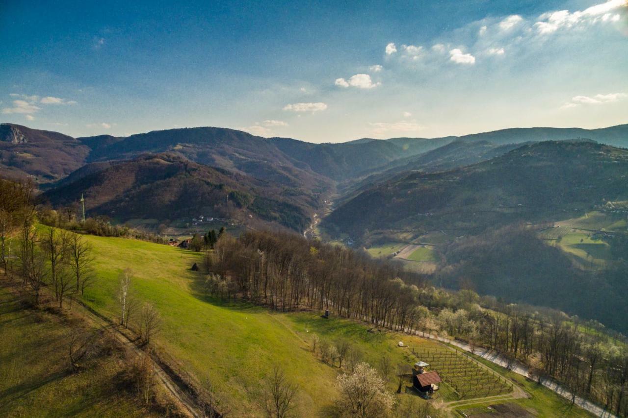 Brvnara Na Bregu Villa Bajina Basta Kültér fotó