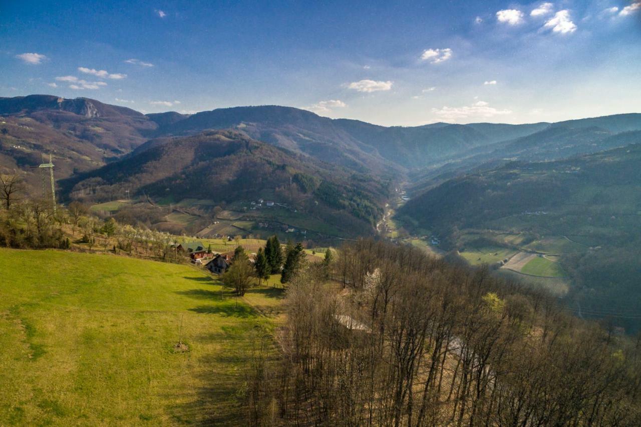 Brvnara Na Bregu Villa Bajina Basta Kültér fotó